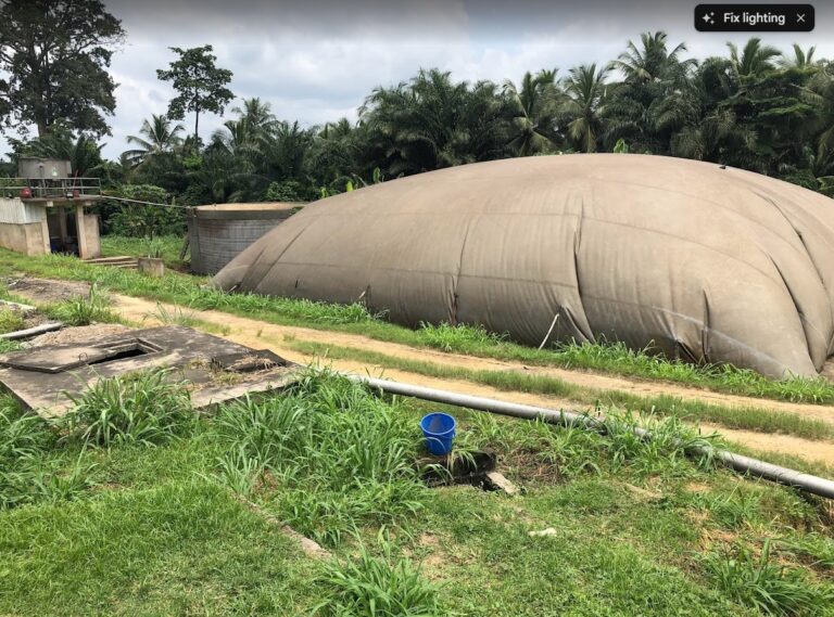 Biogas from Palm Plantation has filled the ballon onsite